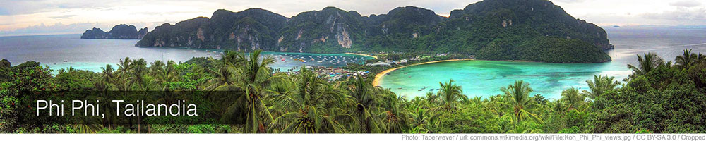 Phi Phi Phi Phi