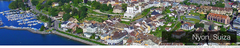 Nyon Nyon