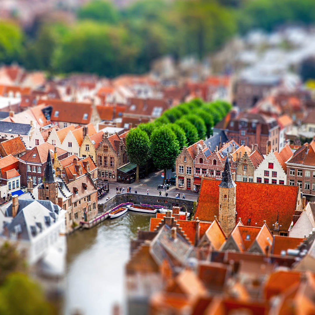 Brujas Brujas