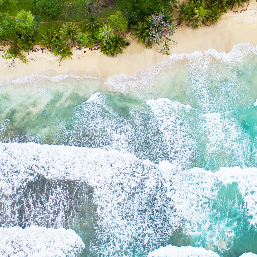Playas del Caribe Playas del Caribe