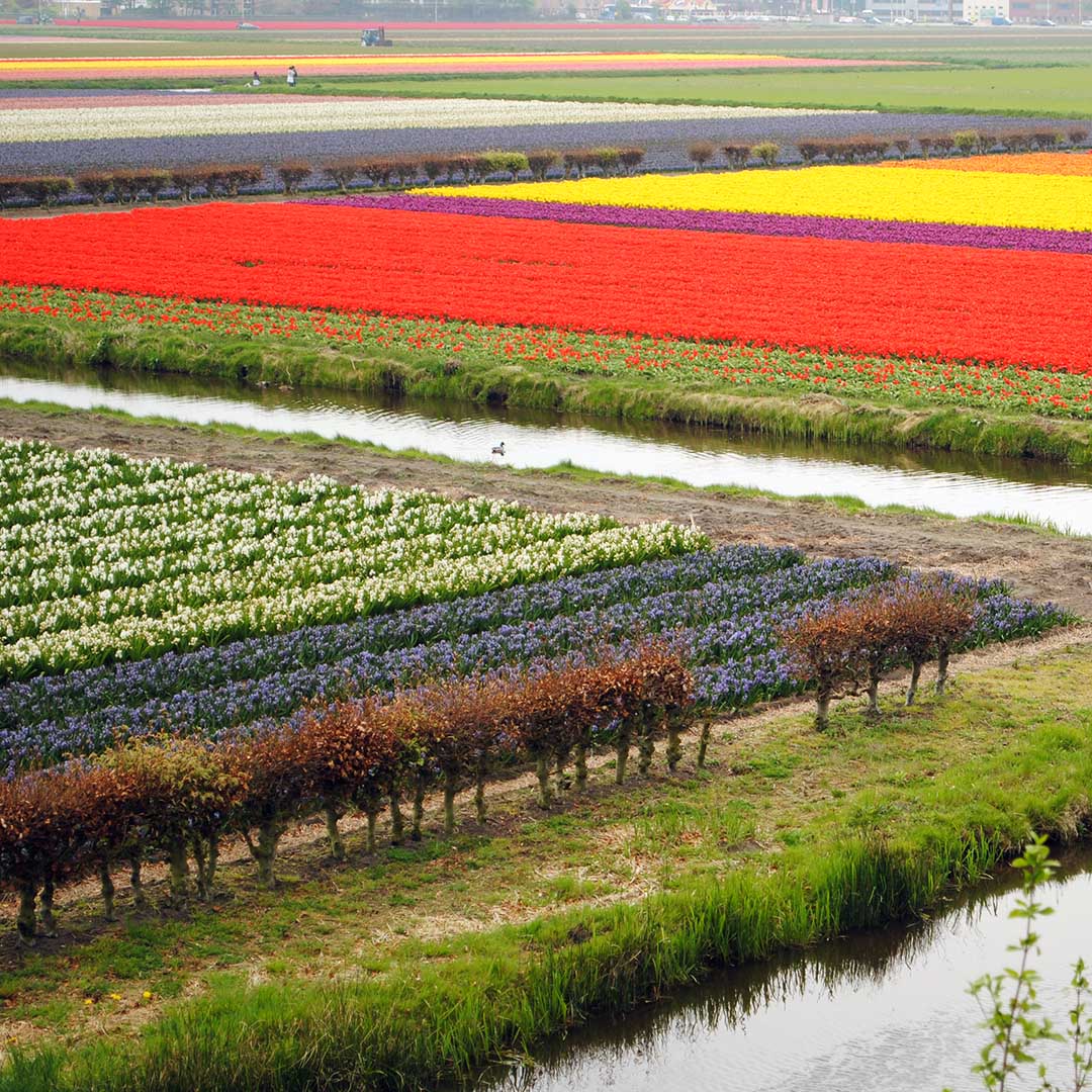 El tiempo en Holanda en septiembre