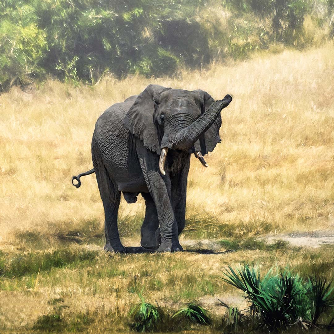 KwaZulu-Natal