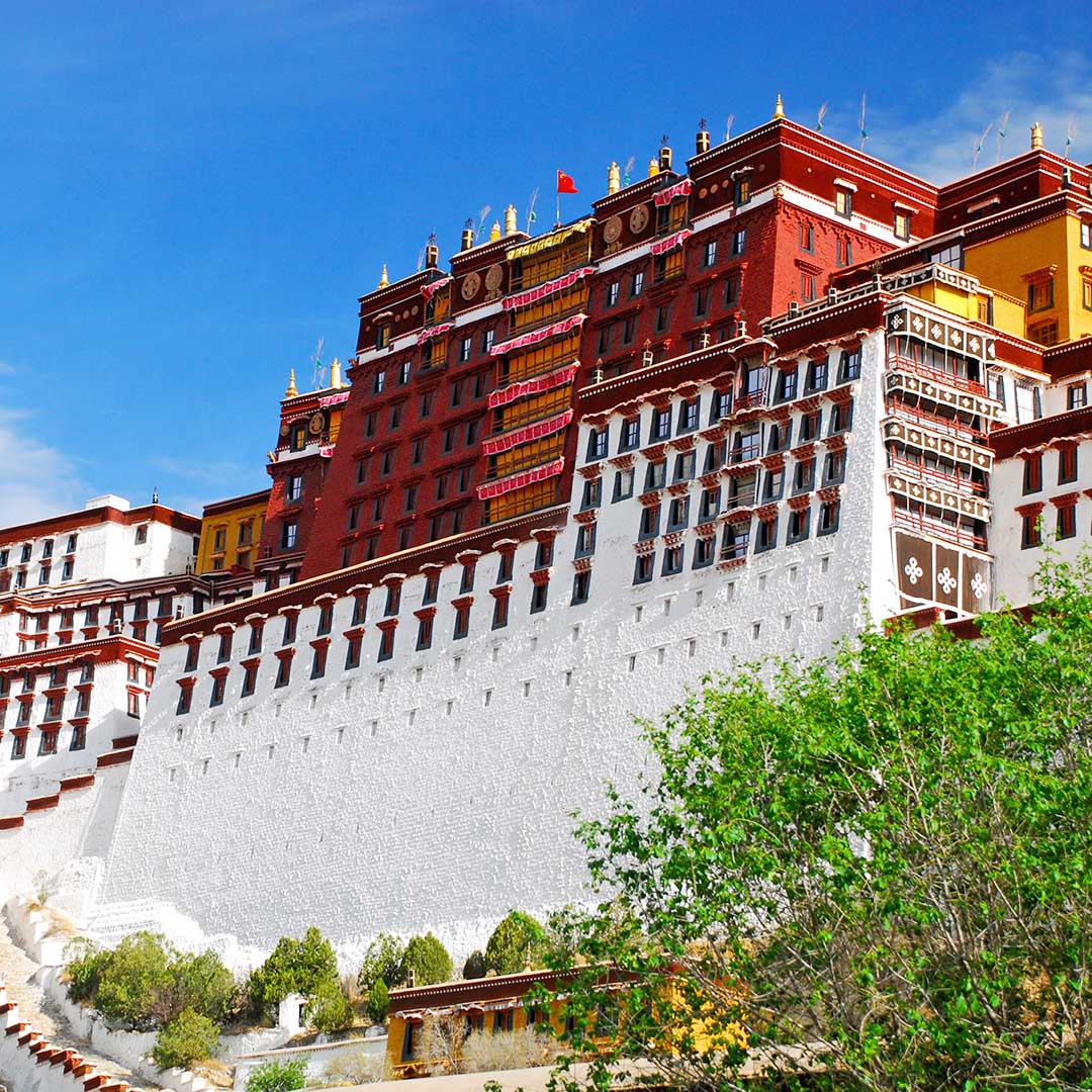 Lhasa Lhasa