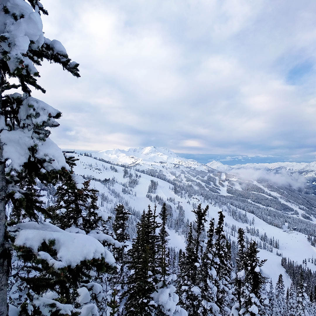 Whistler Whistler