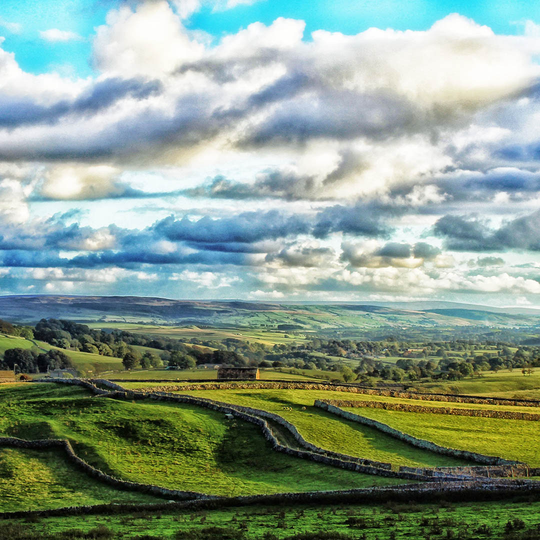 Yorkshire Yorkshire